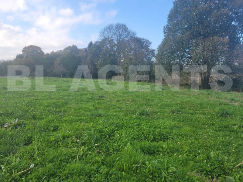 WhatsApp Image 2025-02-18 à 11