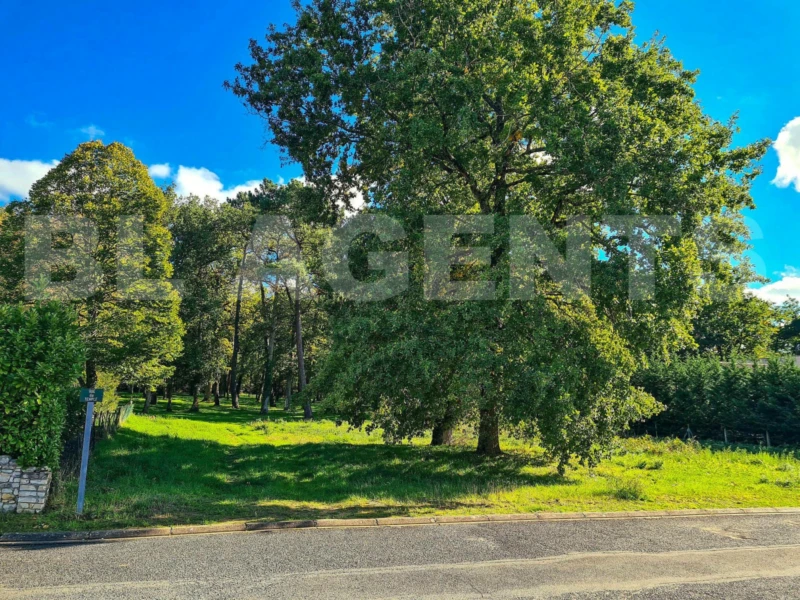 3 - Lionel MARC - BL Agents - Terrain Braye