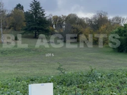 photo lot 5
