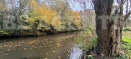 IMG_20241112_142412