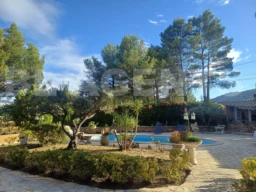 photo destrousse piscine