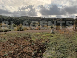 Photo 1 terrain Villefloure