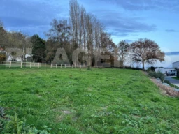 IMG-20251115-WA0005