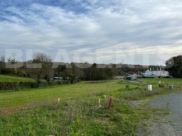 IMG-20251129-WA0002