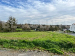 IMG-20251129-WA0004