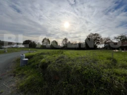 IMG-20251129-WA0001