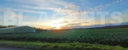 IMG-20251217-WA0000[1]