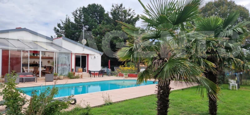 WhatsApp Image 2025-12-29 at 10