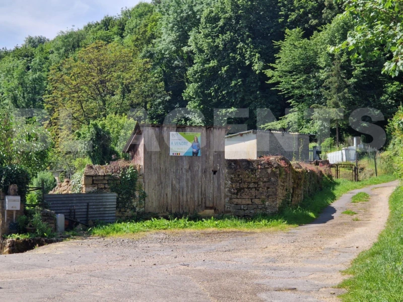 PHOTO-2024-06-14-11-27-57 (1)