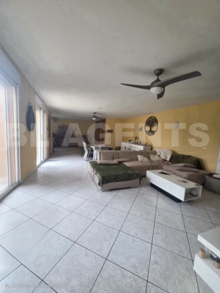 20250327_161100(1)(1)(1)(1)