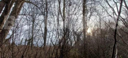 IMG-20260214-WA0025[1]