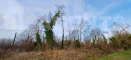 IMG-20260214-WA0026[1]