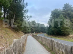 e96141d0-fa17-4e65-b35d-11c08d61807b