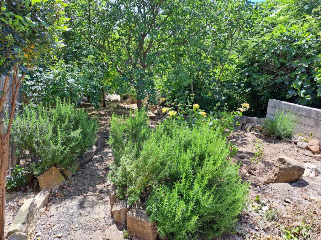 jardin attenant à la maison à rénover