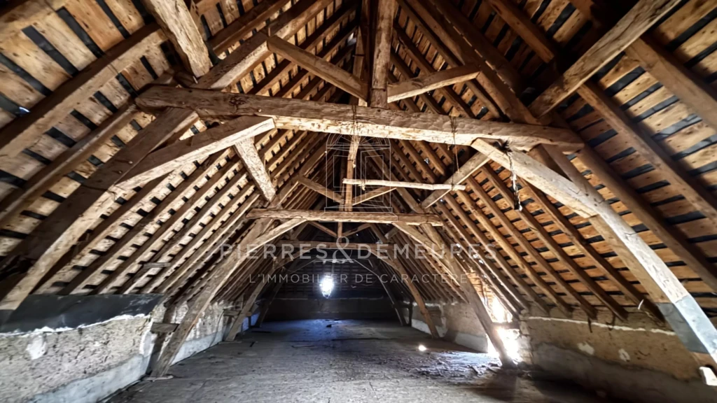 CHATEAU A RENOVER - CHATEAU A VENDRE DANS L'INDRE - CHATEAU AVEC PARC BOISE - CHATEAU AVEC PISCINE - CHATEAU AVEC DEPENDANCES - CREATION GITE CHAMBRES D'HOTES ET SALLES DE SEMINAIRES -