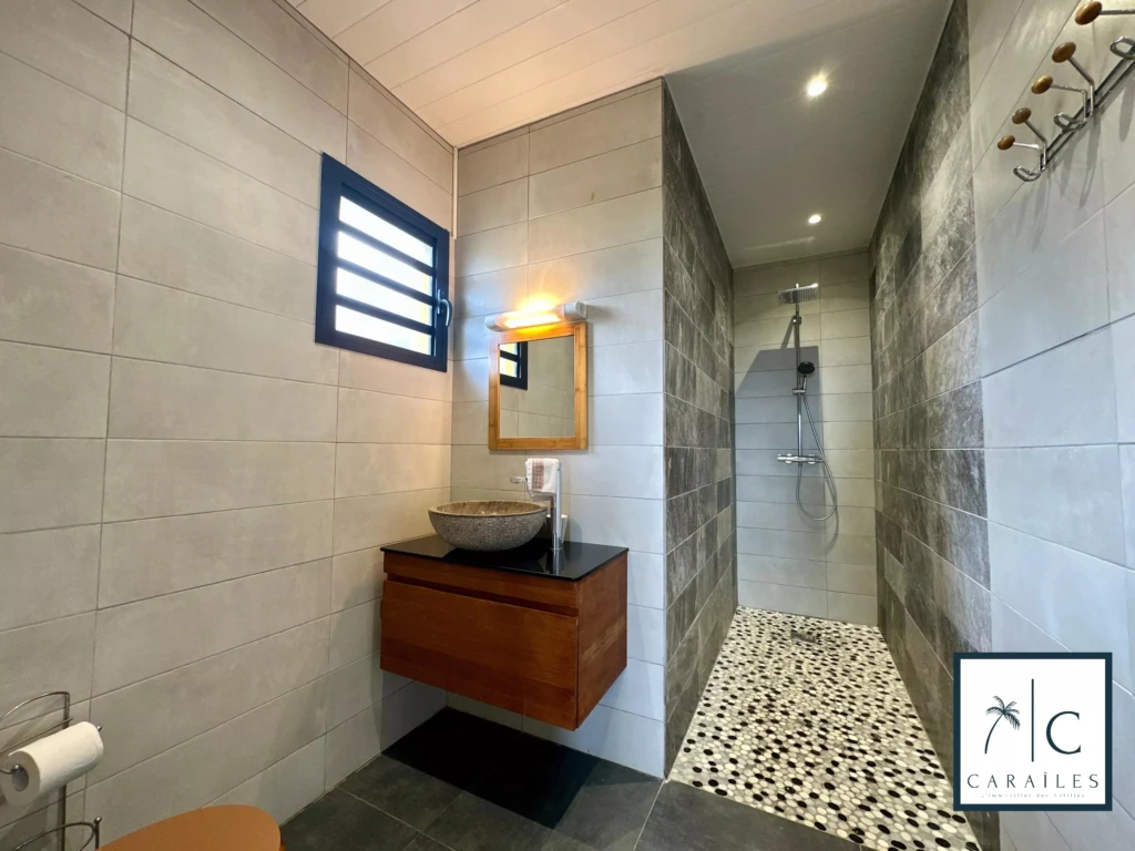 Salle de bain moderne avec douche à l'italienne et lavabo en pierre.