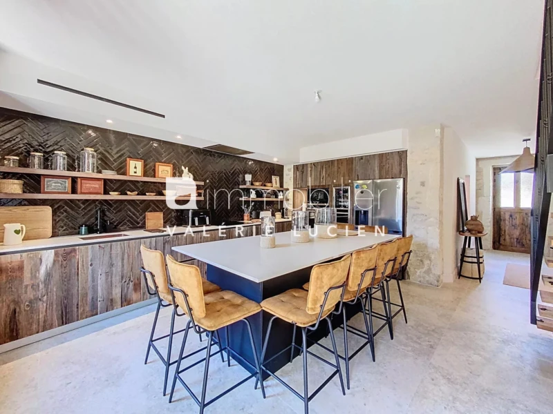 Maison familiale Saint-Rémy-de-Provence grande cuisine ouverte