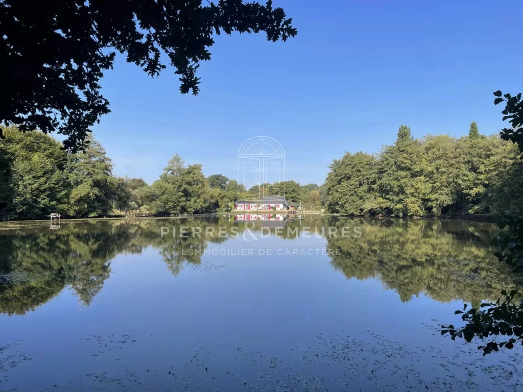 sous bois-étang-calme-se ressourcer-pêcher-détente-forêt de Tronçais