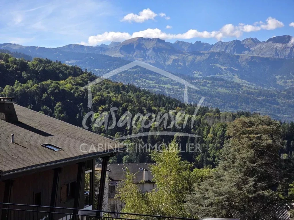 la vue sur les Aravis