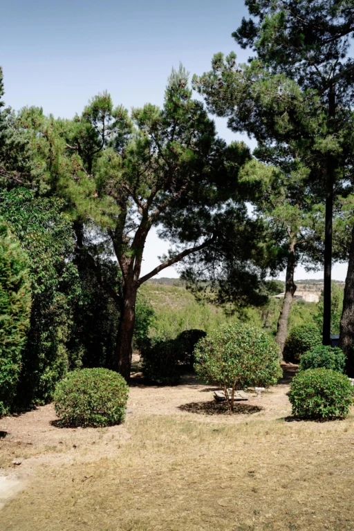 LES RESIDENCES DU SOLEIL FORSTNER
