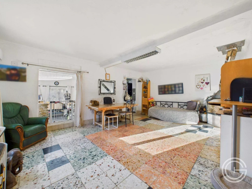 Propriété avec maison, gîte indépendant et studio – 7 500 m² de terrain - PEILLE