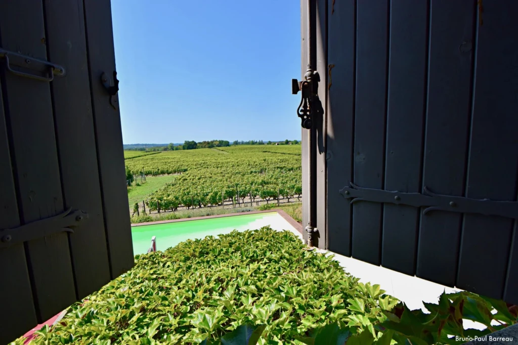 CHATEAU TRILLON - SAUTERNES