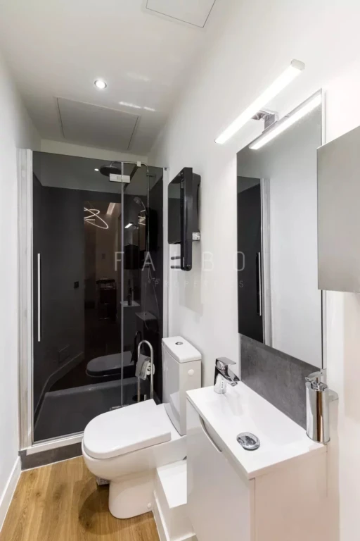 Salle d'eau avec toilettes et lave mains 