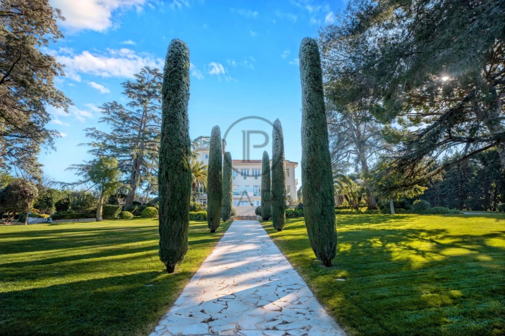 Allée bordée de cyprès menant à une grande maison blanche entourée de verdure.