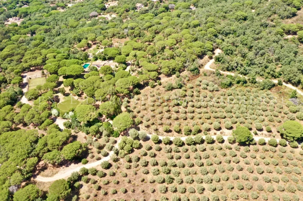 Un magnifique terrain arboré avec des plantations bien entretenues, idéal pour une propriété privée.
