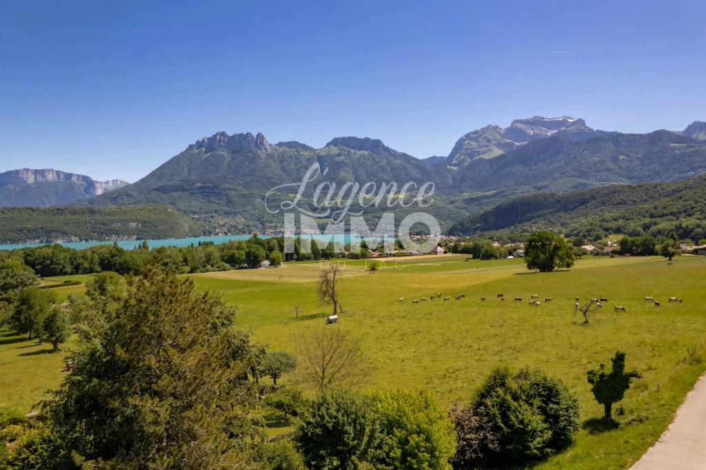 448 chemin du buloz chalet l'agence immo st jorioz vue lac