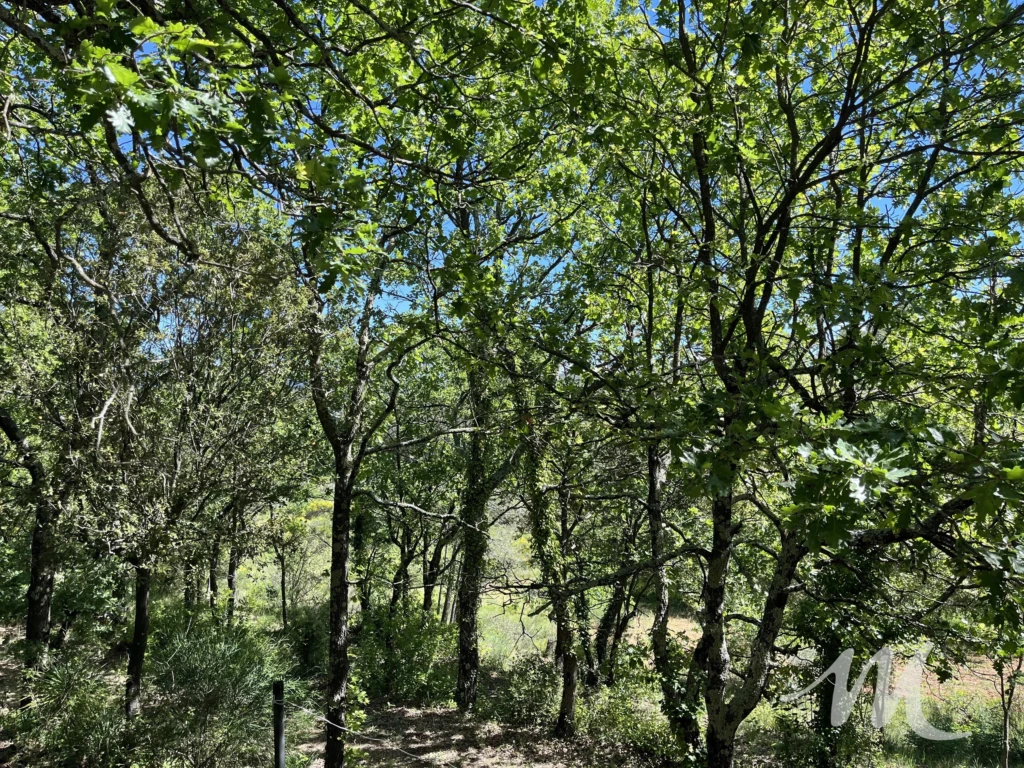 Bastidon en pierre à vendre à Barjols sur 2,3 hectares de terrain Barjols 83670 - Provence, Var