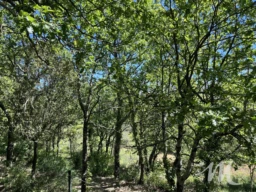  Bastidon en pierre à vendre à Barjols sur 2,3 hectares de terrain Barjols 83670 - Provence, Var