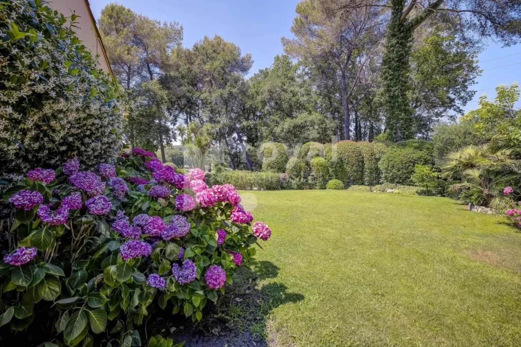 Grand jardin privé dans une villa contemporaine haut de gamme