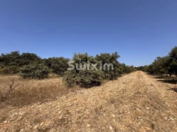 Agence immobilière Swixim Grignan