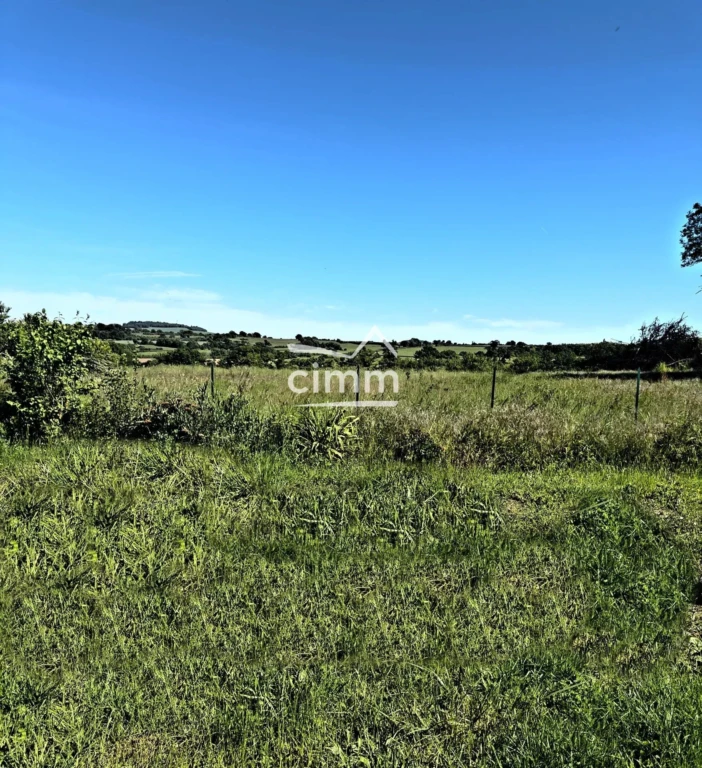 CIMM IMMOBILIER