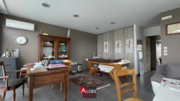 Local commercial Aigues-Mortes