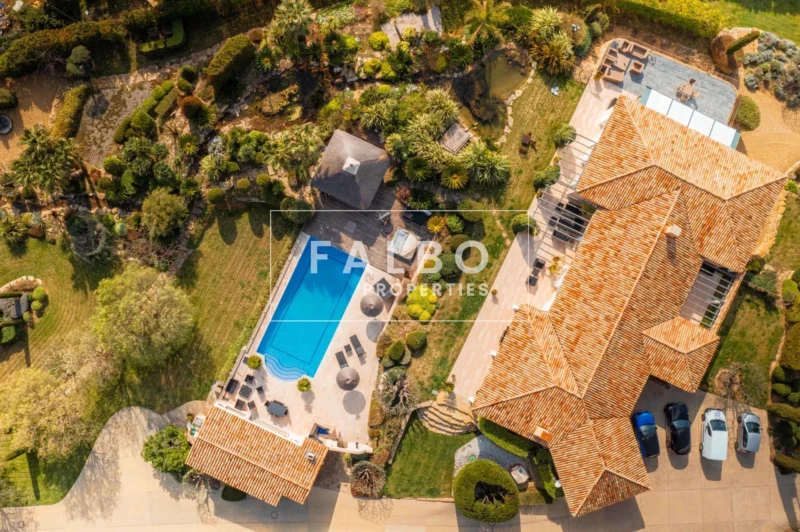 vue du ciel propriété avec piscine la ciotat