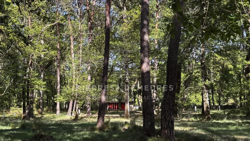 CAMPING A VENDRE - PARC DE LOISIRS - SITE TOURISTIQUE A VENDRE - DOMAINE DE RECEPTION - LIEU DE RESSOURCEMENT - CAMPUS NATURE - VILLAGE D'ACCUEIL - RESTAURANT - PROJET EVENEMENTIEL -