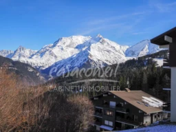 Quartier à quelques pas des pistes du Bettex