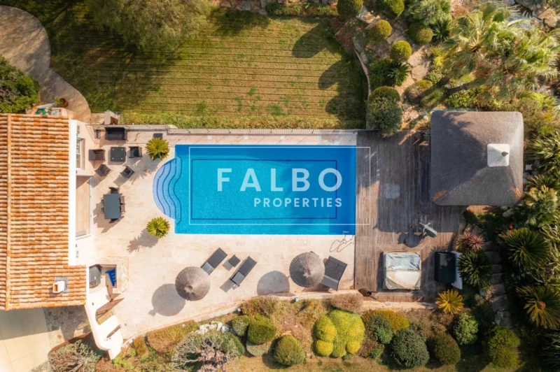 piscine vue du ciel avec pool house