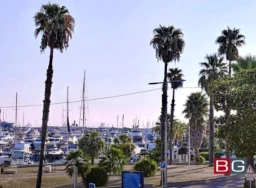 Une marina avec des bateaux amarrés, entourée de palmiers et de plantes.