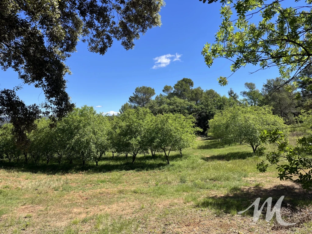 Bastidon en pierre à vendre à Barjols sur 2,3 hectares de terrain Barjols 83670 - Provence, Var