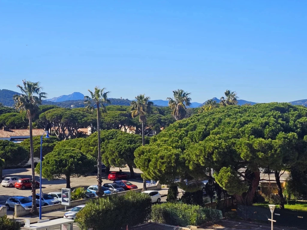 Vue dégagée sur les pins parasols et les collines depuis un appartement à Hyères Port.