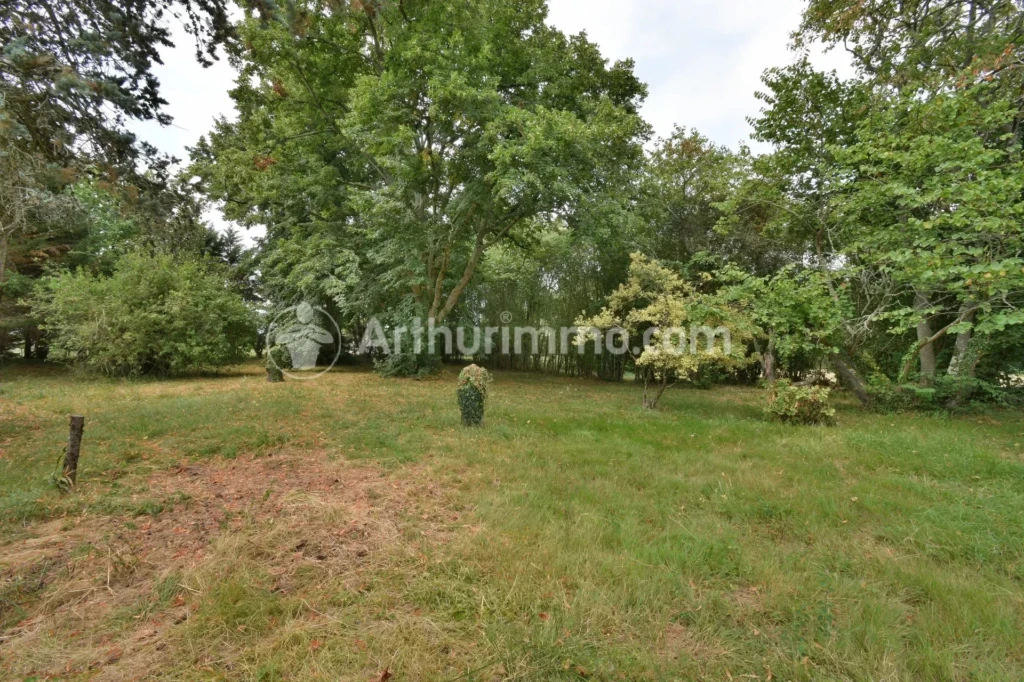 Arboré Beaupuy Belle vue Campagne Grand espace Mezzanine Potentiel Terrain divisible Véranda