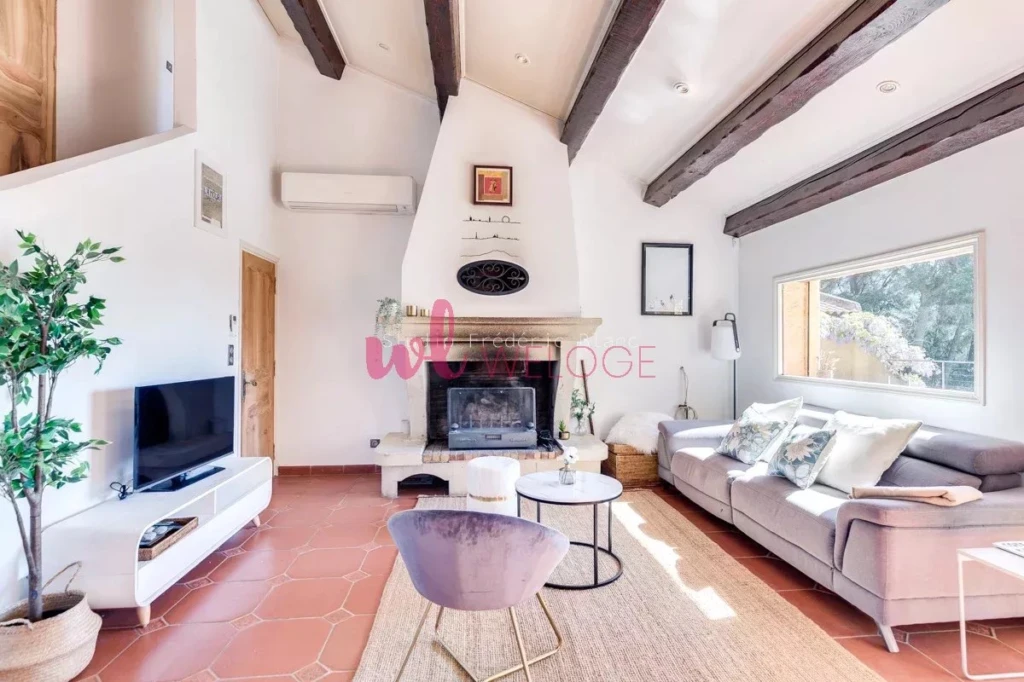 salon avec cheminee maison a vendre simiane