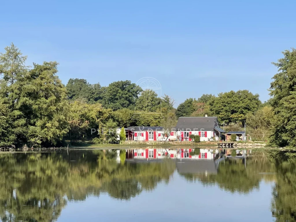 chalet en bois-étang homologué-propriété au coeur de la nature-forêt de Tronçais-maison à vendre-étang à vendre