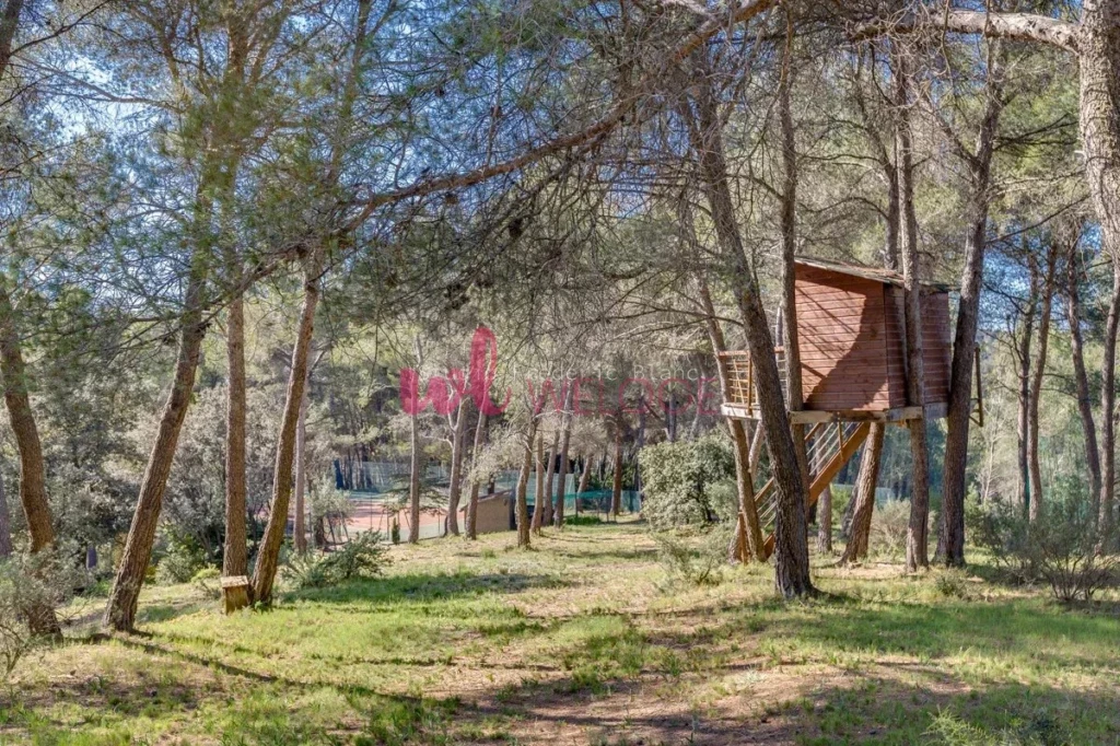 cabne perchee dans les arbres pour les enfants