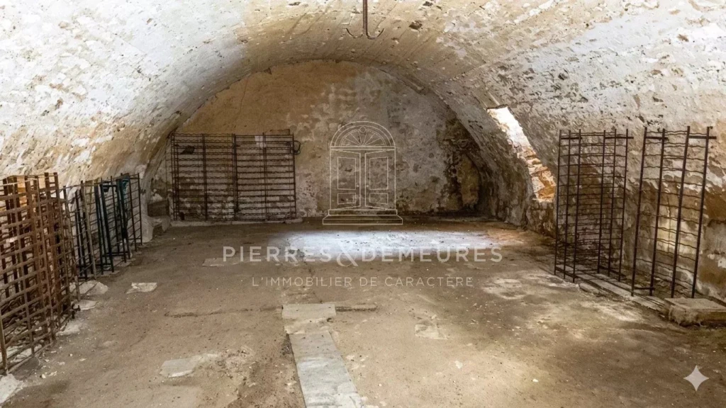 CHATEAU A RENOVER - CHATEAU A VENDRE DANS L'INDRE - CHATEAU AVEC PARC BOISE - CHATEAU AVEC PISCINE - CHATEAU AVEC DEPENDANCES - CREATION GITE CHAMBRES D'HOTES ET SALLES DE SEMINAIRES -