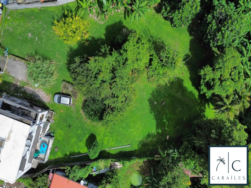 Jolie jardin spacieux et verdoyant, idéal pour la détente et les activités en plein air.