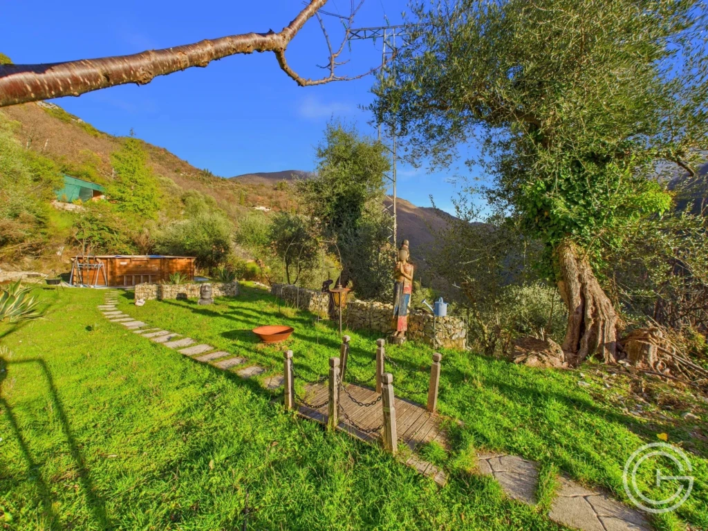 Propriété avec maison, gîte indépendant et studio – 7 500 m² de terrain - PEILLE